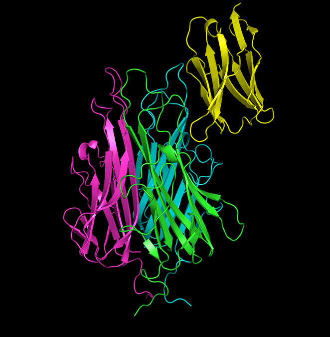 The second Anthropic × Adaptyv protein design challenge - TNFa